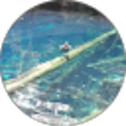 Review From Albertho Wamaer