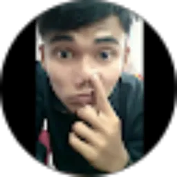 Review From Duwik riki