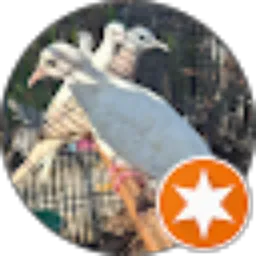 Review From rosi caem