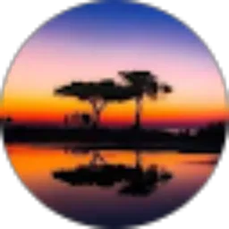 Review From adrianus lewi