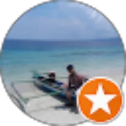 Review From Franseto Pitoyo Naun