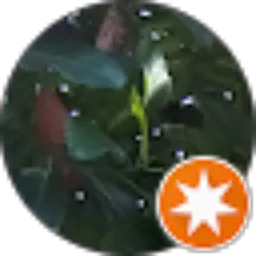 Review From Muhammad Badrudin