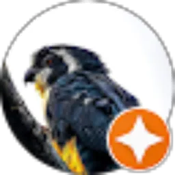 Review From Brian Widagdo, DVM