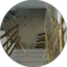 Review From Ninik Hidayati