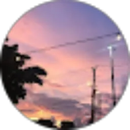 Review From Shafa Salsabila