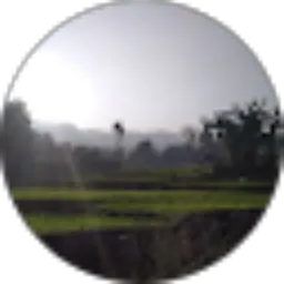 Review From Robin Trian