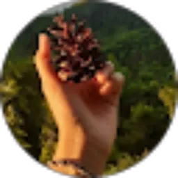 Review From Nurmalia A.A