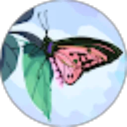 Review From Supriyadi Retno