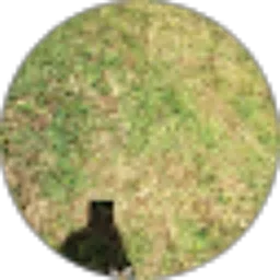 Review From Anisah Yalnis