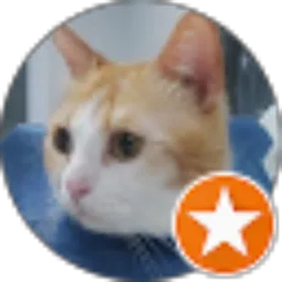 Review From Xoxomeow