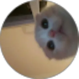 Review From Muhammad Adrenaline