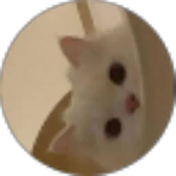 Review From AisyahDelaLukita