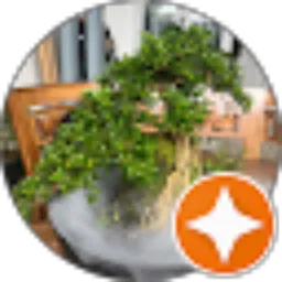 Review From Oasis_ 777_