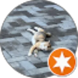 Review From Anisa Nuur H