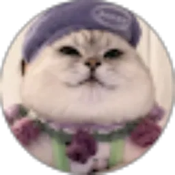 Review From Acaa Angelina