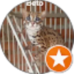 Review From abu Bagus Kurniawan