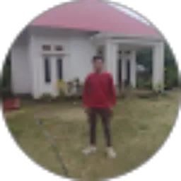 Review From Riswan Lingua