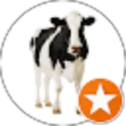 Review From Hangger Grudo Paksi