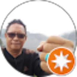 Review From Harry Pramono