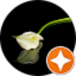 Review From Wahyu Lestari