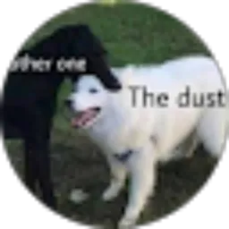 Review From Indra Jatnika