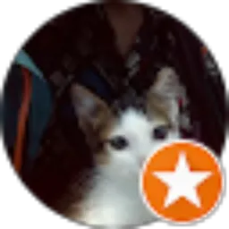 Review From Tory Justo