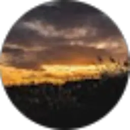 Review From Evha nur akhlia