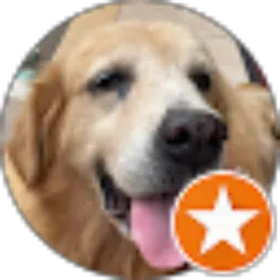 Review From Genoveva Chintya