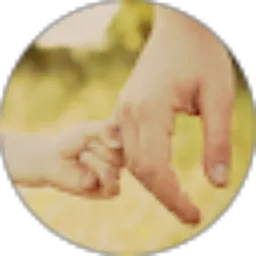 Review From Elvi Nur Atriani