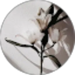 Review From tati maesaroh