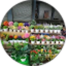 Review From Anisa Mahdalena