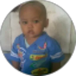 Review From Abdul Jabbar