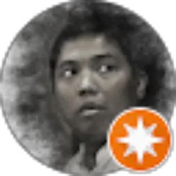 Review From Prawoto Syuhada