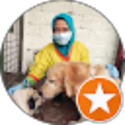 Review From Ana Margaretha