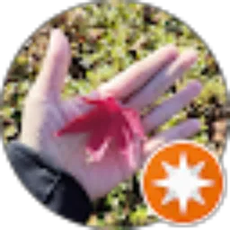 Review From Ayu Permatasari