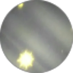 Review From Lana Rain