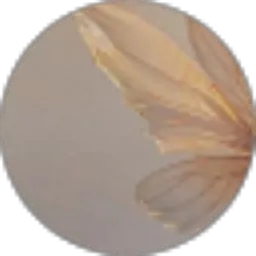 Review From Al Fildzah adani