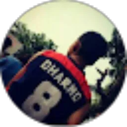 Review From Albert Dharmo