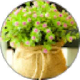 Review From U'ul Efriyanti Prayoba