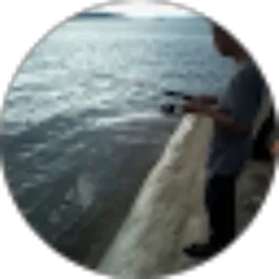 Review From Armin Bakri