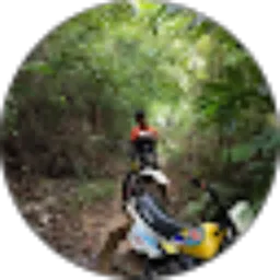 Review From M Fairuzi