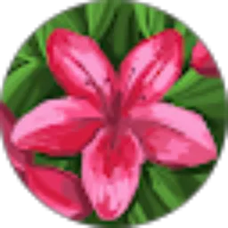 Review From natali •