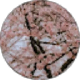 Review From Jihan Kartika Putri