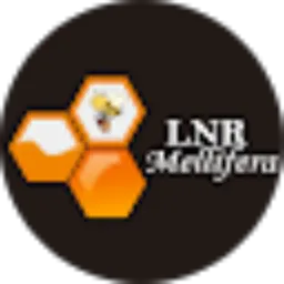 Review From Lulut Novian Roffy