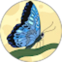 Review From Jojo suparno