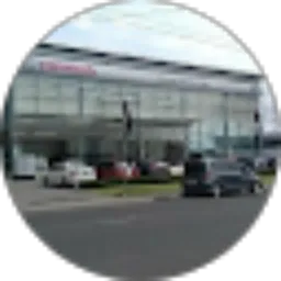 Review From Rico Rinaldo