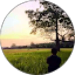 Review From Hamdani surya Surya