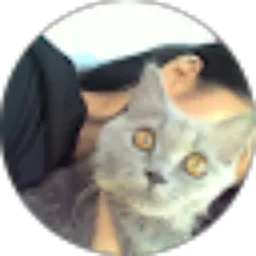 Review From Dhe Afifa