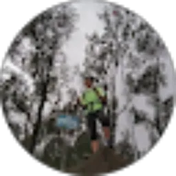 Review From Kevin Igor Ibnu Listanto