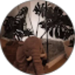 Review From RAHMATIA HAMSA N. PILOMONU